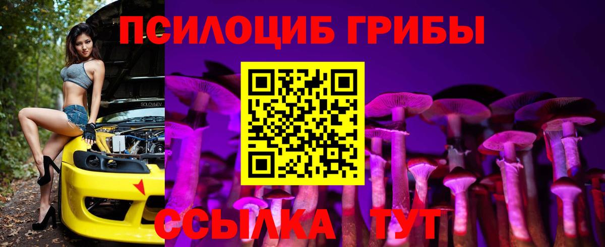 Галлюциногенные грибы мухоморы  Вход с VPN  Псилоцибиновые грибы GOLDEN TEACHER  Сальск 